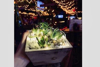 Plant Nite: Fairy Lights in Wooden Container